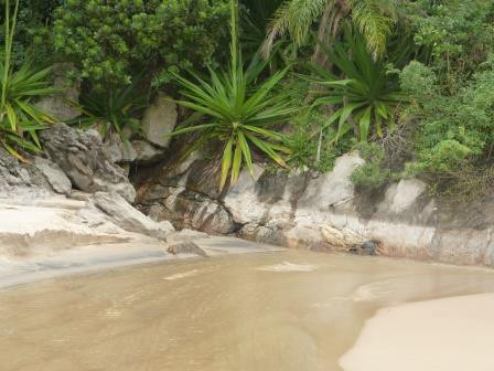 Praia Toque Toque Grande景点图片