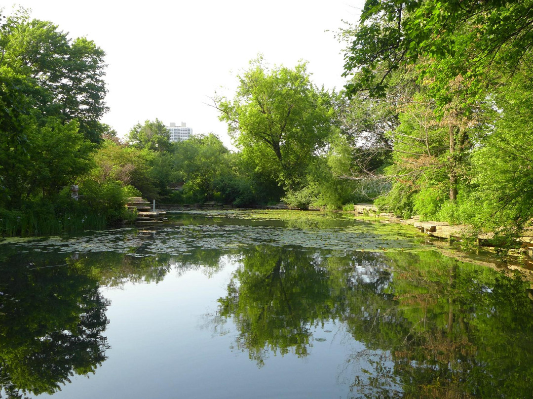 Alfred Caldwell Lily Pool-芝加哥必去景点
