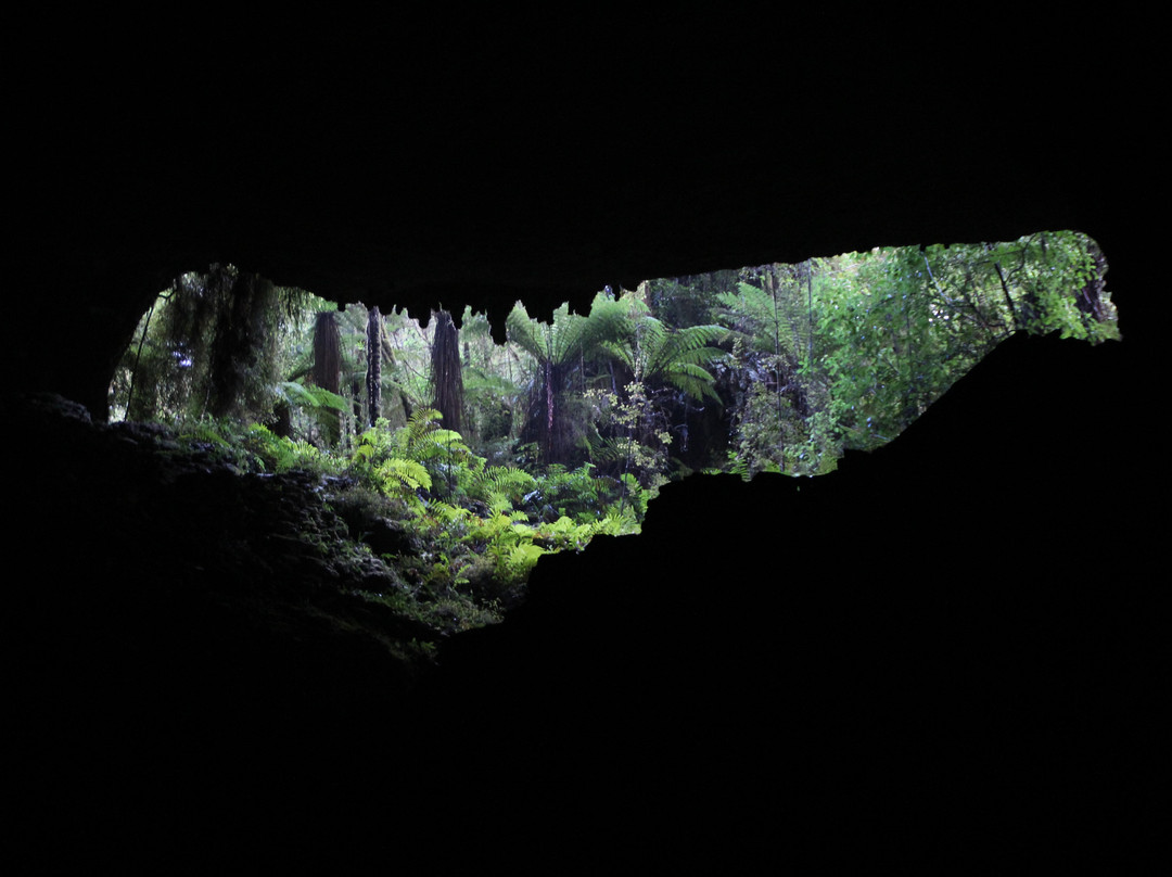 Oparara Kahurangi National Park Guided Tours景点图片