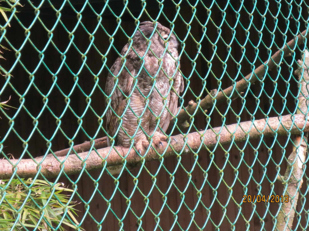 Sardis Raptor Center景点图片