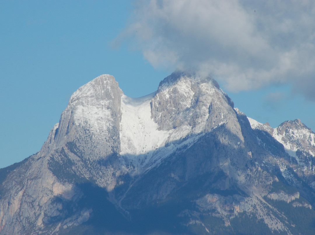 Hostal Rural Falgars主图