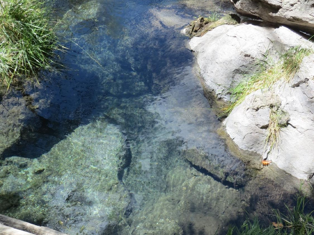 McCauley Warm Springs-Jemez Springs必去景点