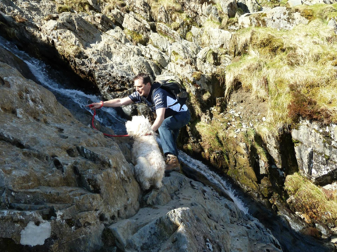 Y Garn-雪墩国家公园必去景点