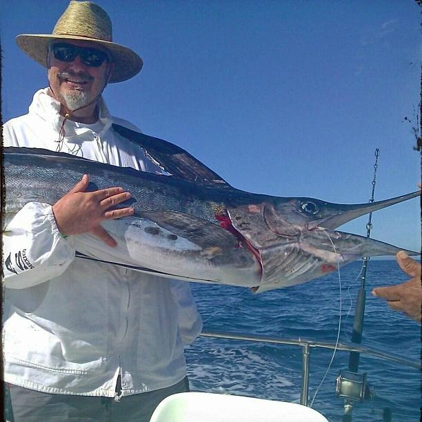 Marlin Alley-卡波圣卢卡斯必去景点