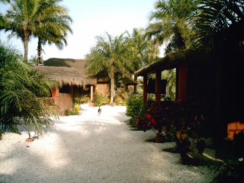 Case Hakuna Matata-客卧