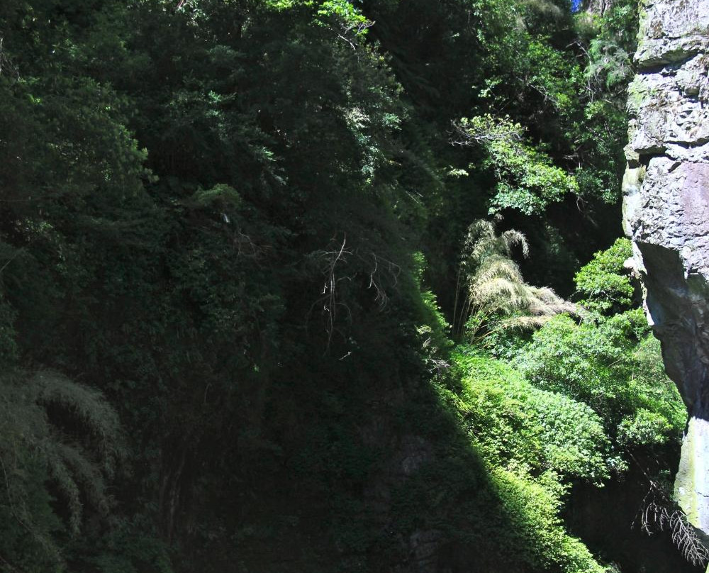 Escape Puesco-Curarrehue必去景点