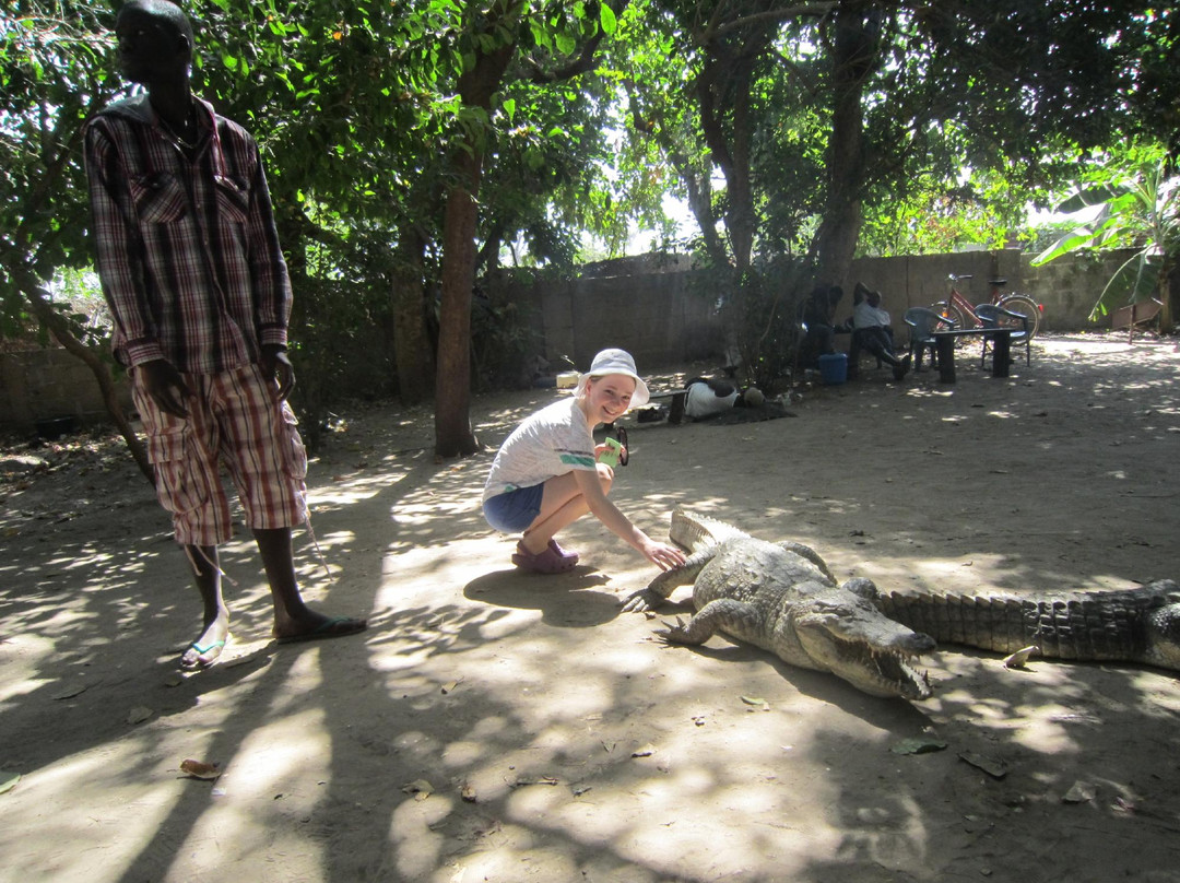 Tilly's Tours - Day Tours-Kololi必去景点