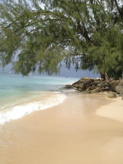 Folkestone Marine Park & Visitor Centre-Holetown必去景点