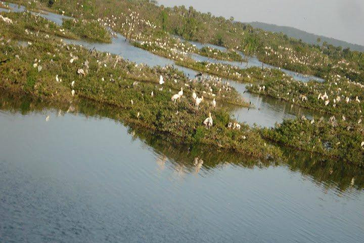 Vedanthangal Bird Sanctuary景点图片