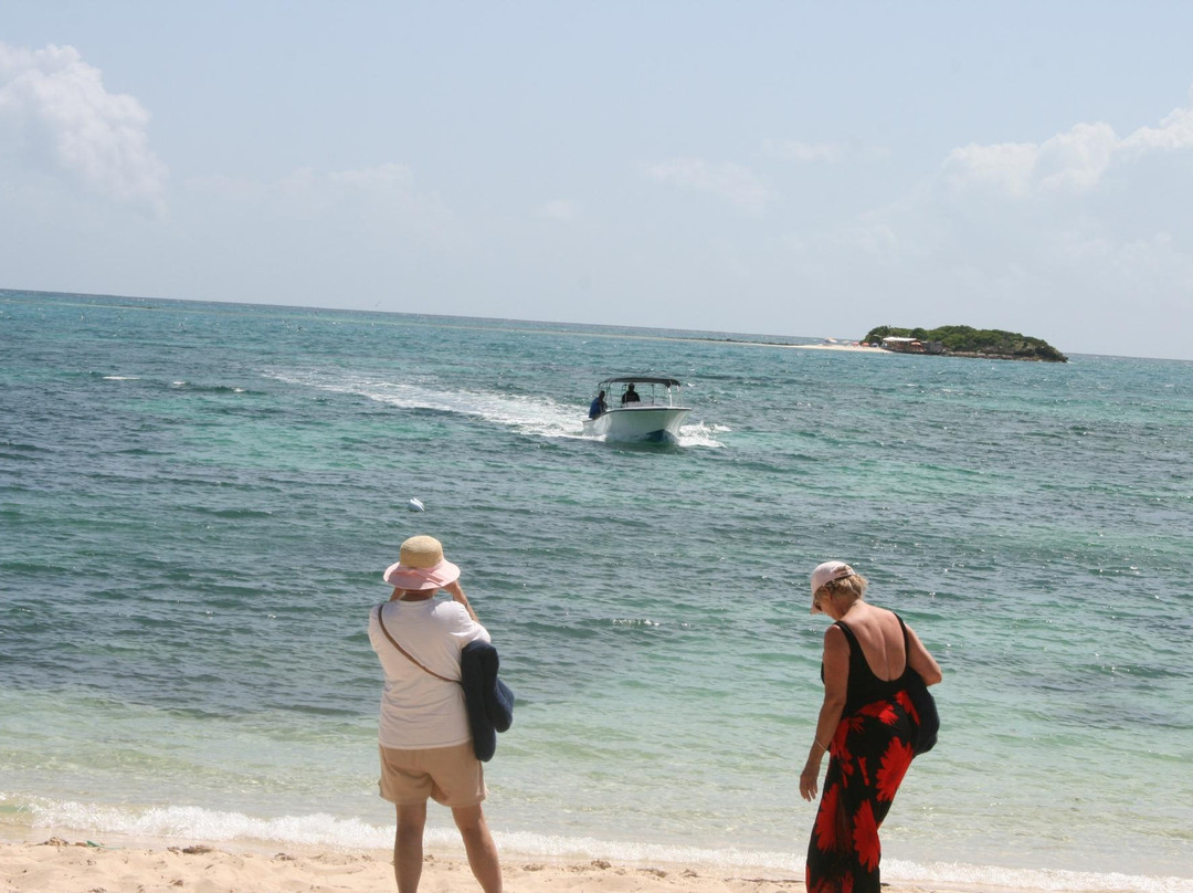 Miguel's Holiday Adventure-圣 约翰必去景点