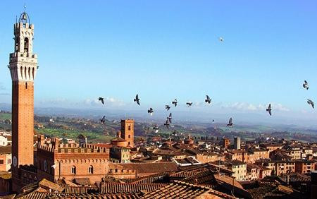 Get Italy - Day Tours景点图片