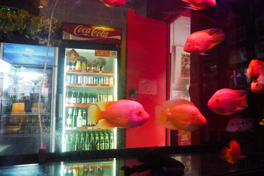 北京北平小院设计酒店主图