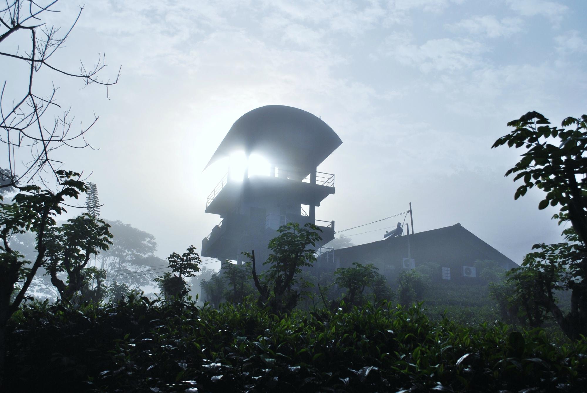 Gilbys Bungalow Sri Lanka-餐饮