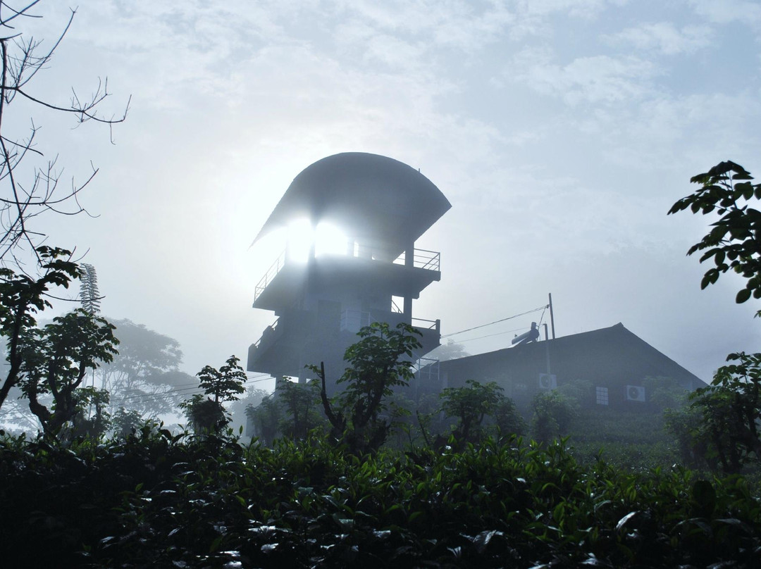 Udugama酒店住宿-Gilbys Bungalow Sri Lanka