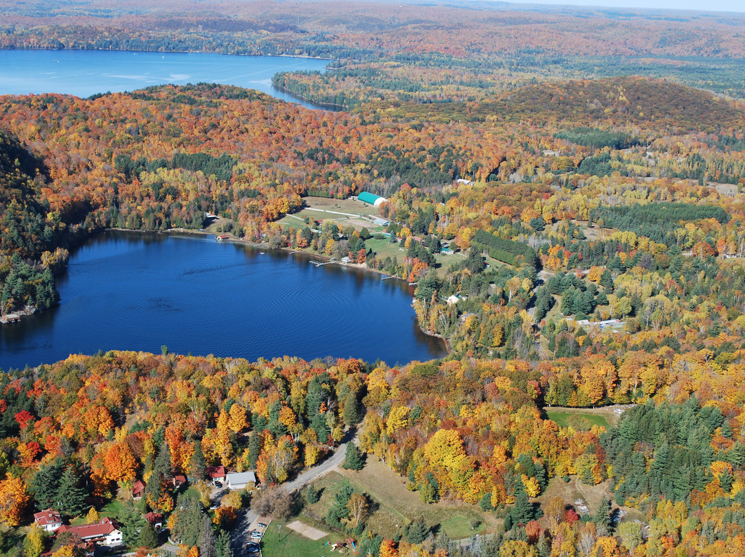 Lake of Bays旅游攻略图片