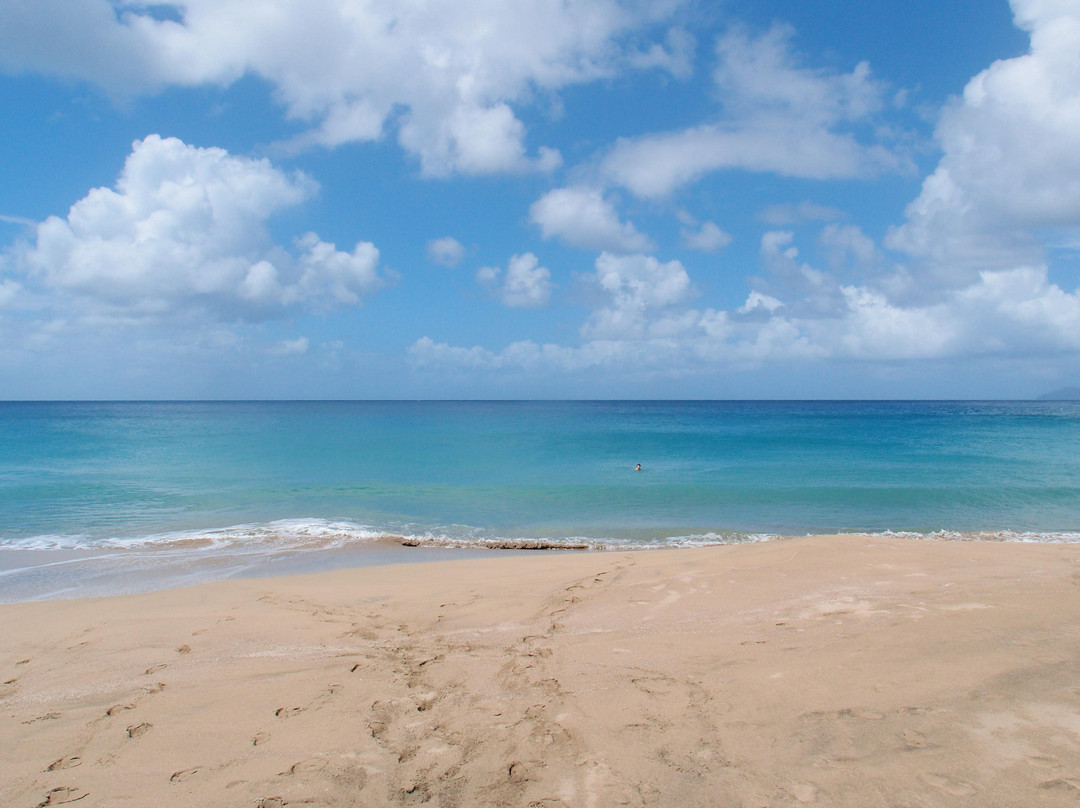 Rendezvous Beach-蒙特塞拉特必去景点