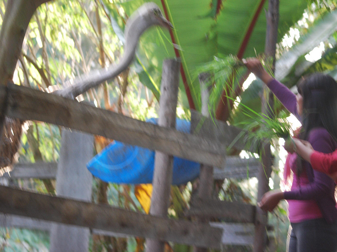 Hosteria Gilocarmelo-Cotopaxi Province必去景点