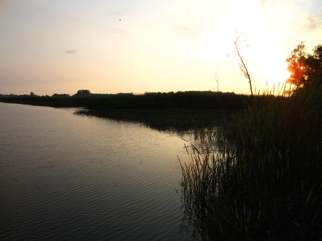 Long Point Provincial Park景点图片