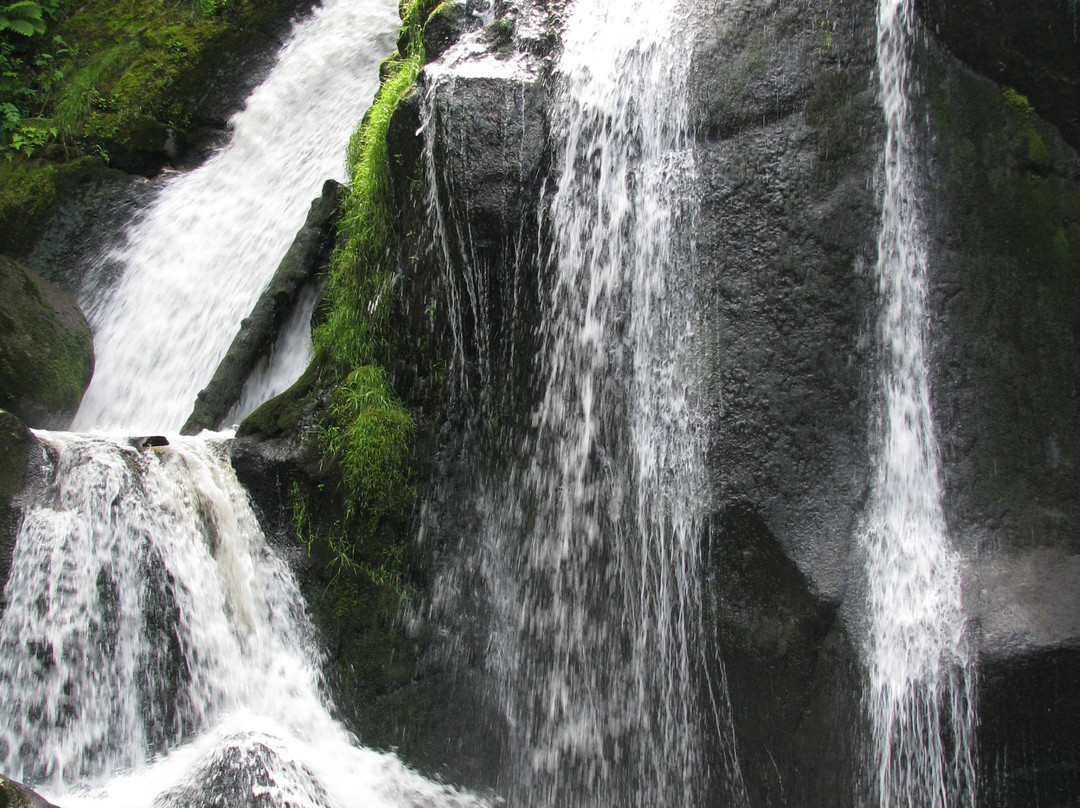 Triberger Waterfall景点图片