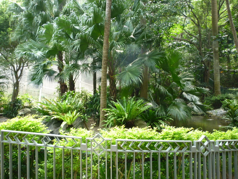 香港公园-香港必去景点