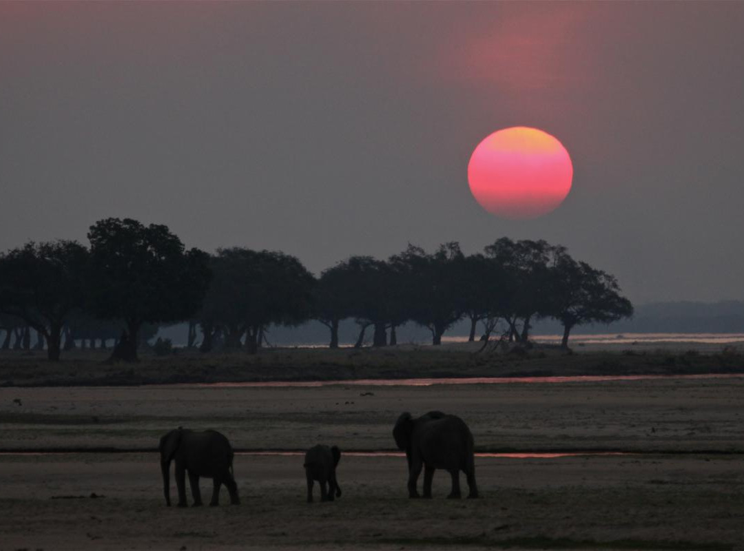 Camping Sites at Mana Pools National Park景点图片