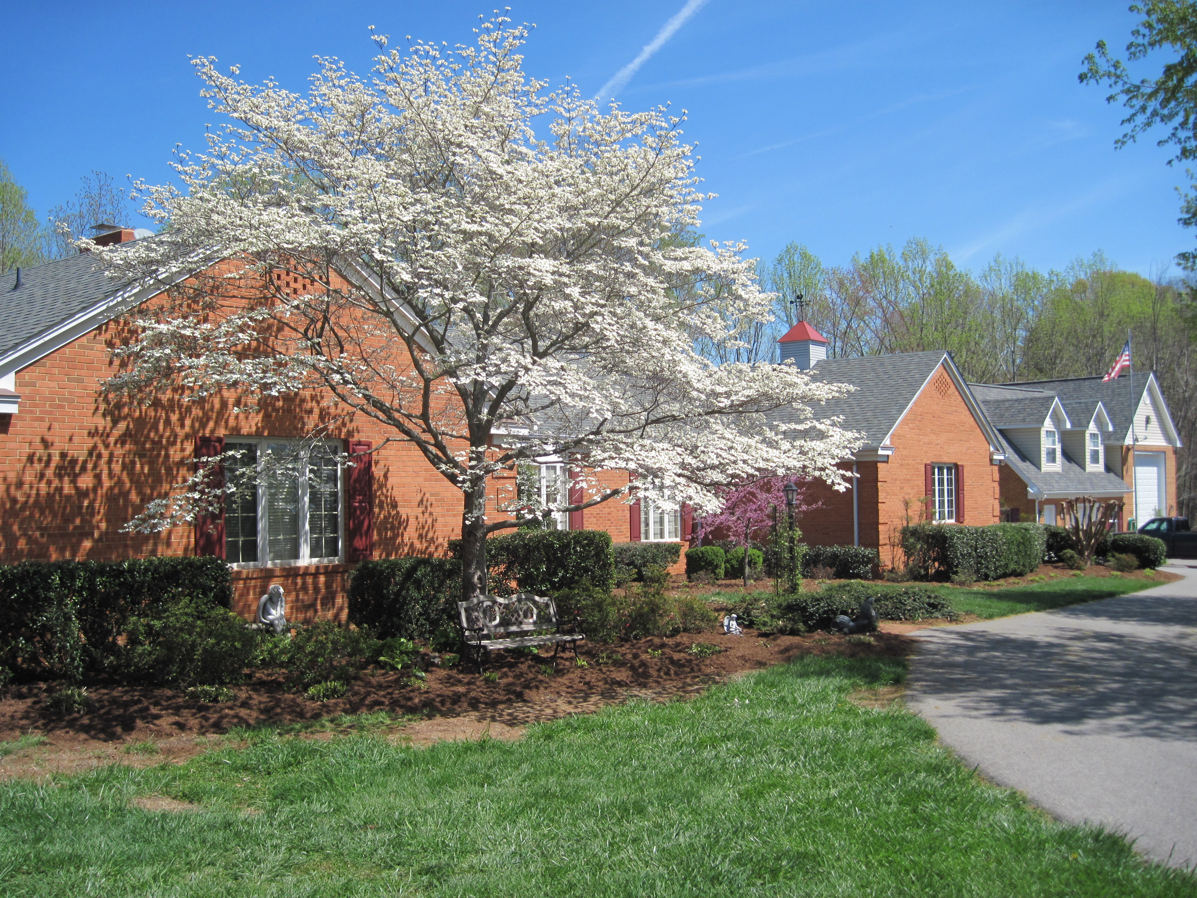 The Roost Bed and Breakfast-官方