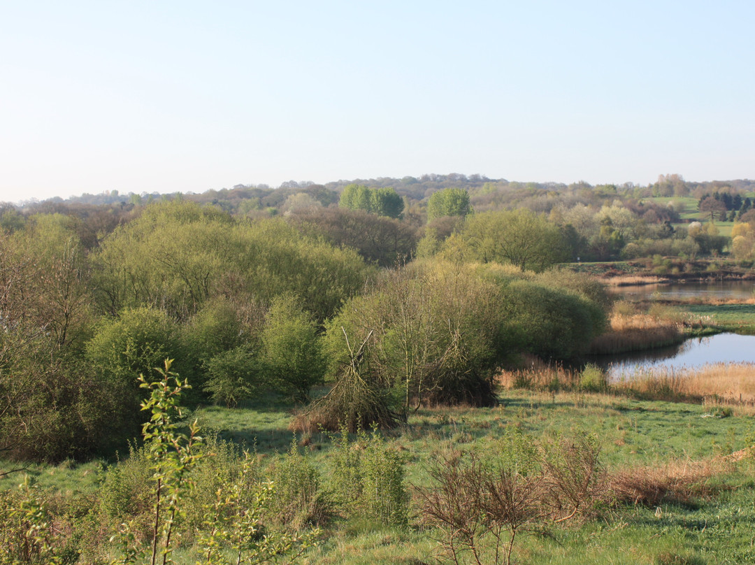 Sandwell Valley Country Park景点图片