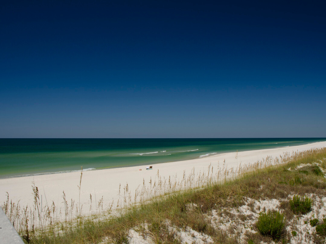 Cape San Blas景点图片