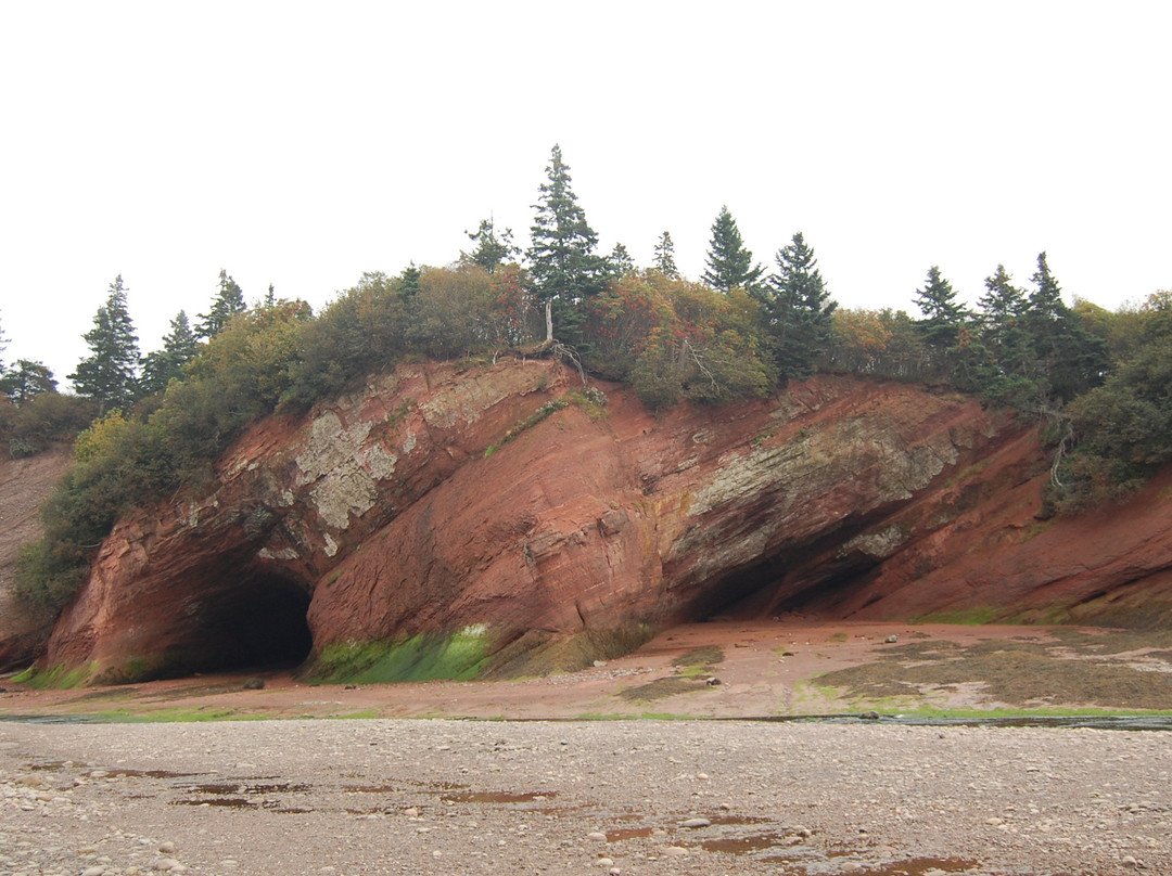 St. Martins Sea Caves-St. Martins必去景点