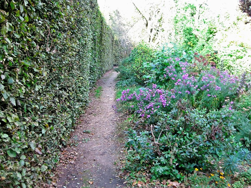 Jane Austen's House-Chawton必去景点