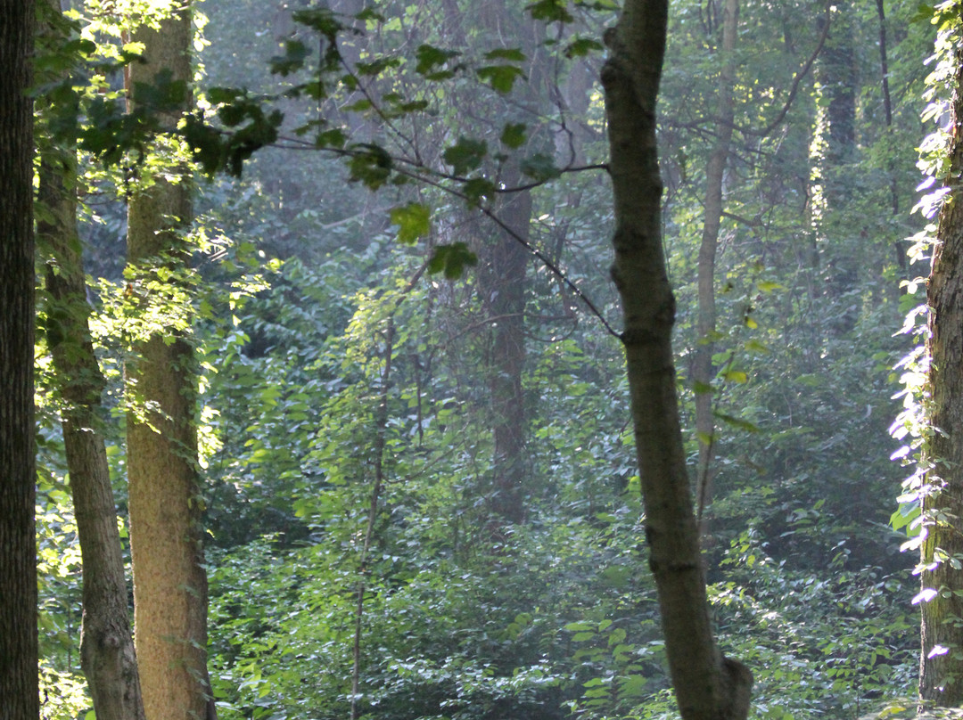 John James Audubon Museum-Henderson必去景点