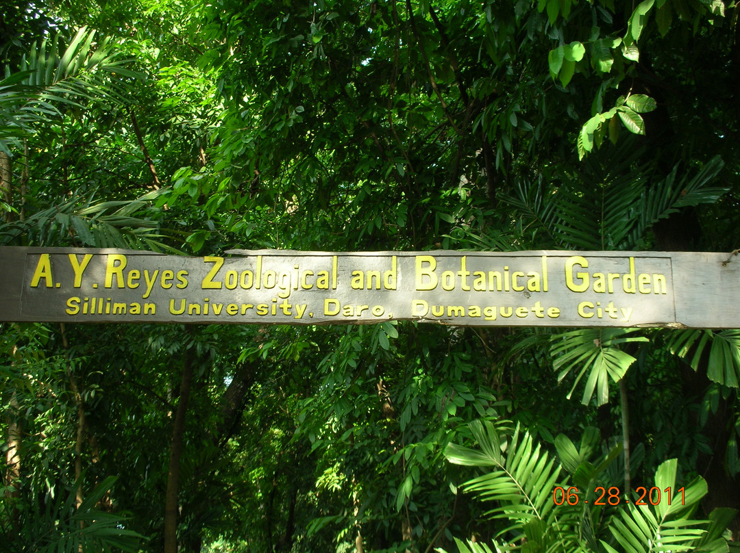 Center for Tropical Studies (CENTROP)-杜马盖地必去景点