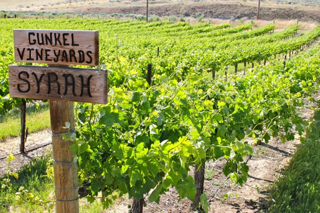 Maryhill Winery-Goldendale必去景点