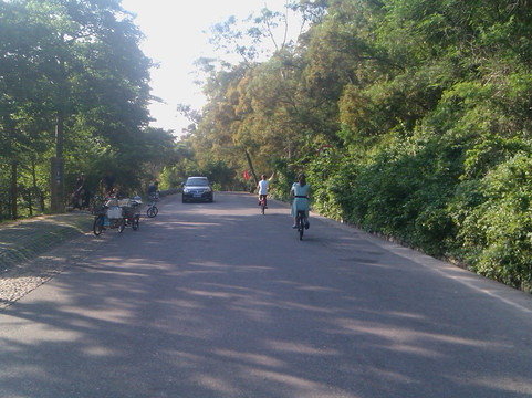 文曾路怪坡-厦门市必去景点