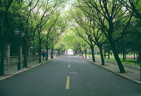 青岛八大峡-青岛市必去景点