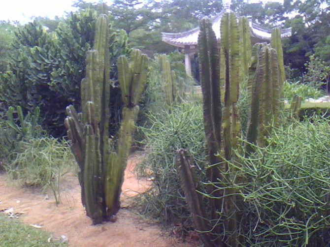 海口金牛岭公园-海口市必去景点