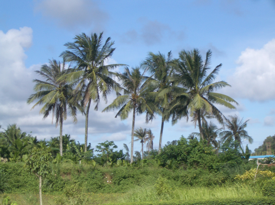 博鳌玉带湾大酒店主图