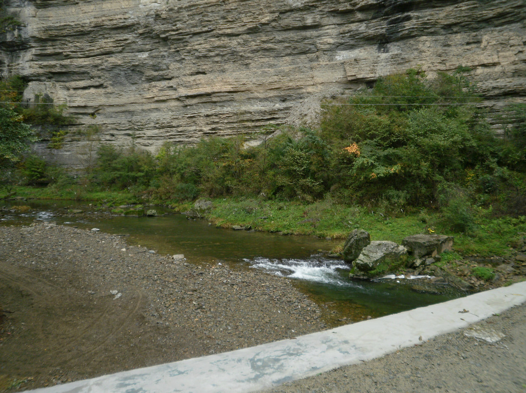 黎坪森林公园景点图片
