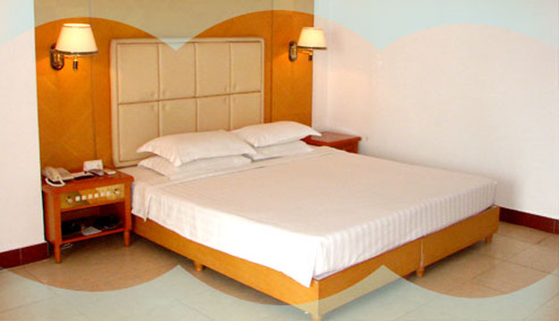 椰海大酒店主图