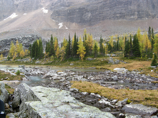 Great Divide Nature Interpretation-路易斯湖必去景点