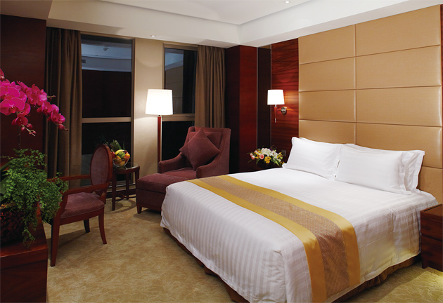 富豪金丰酒店-客卧