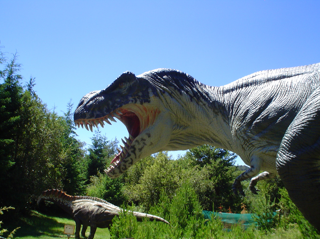 Parque Nahuelito-圣卡洛斯-德巴里洛切必去景点