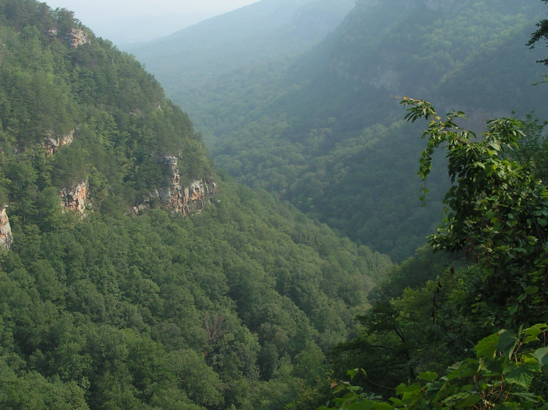 Cloudland Canyon State Park-Rising Fawn必去景点