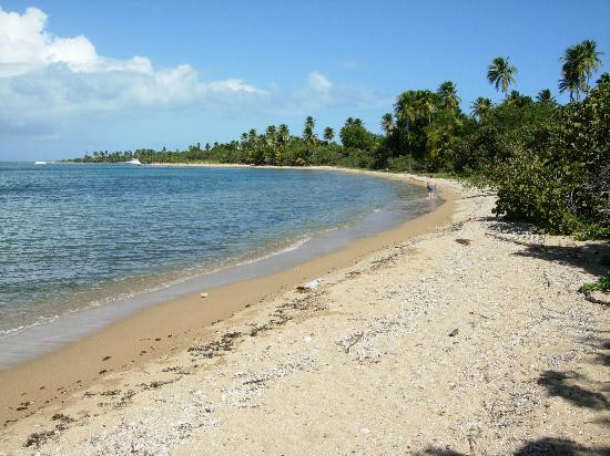 Green Beach-维切克岛必去景点