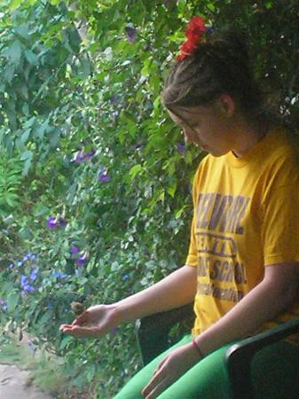 罗克兰兹鸟类保护区-Wiltshire必去景点