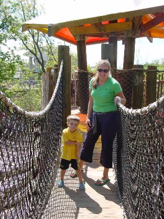 弗里德里克梅雅公园与雕塑公园-大急流市必去景点