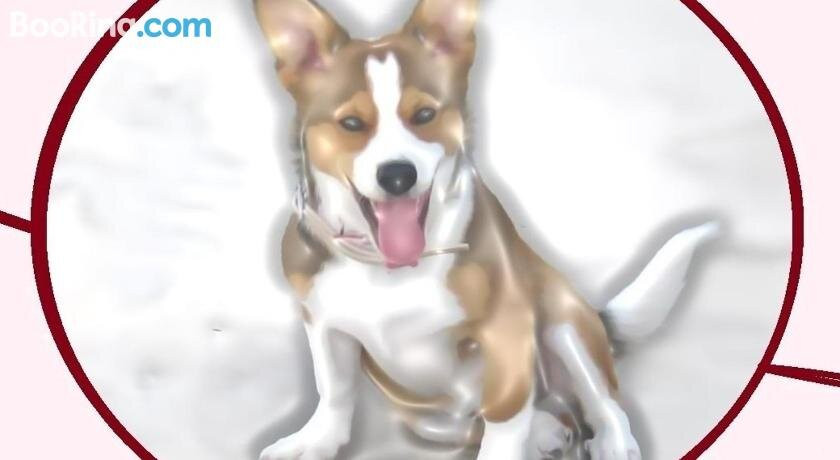 Capitan Shonny主图