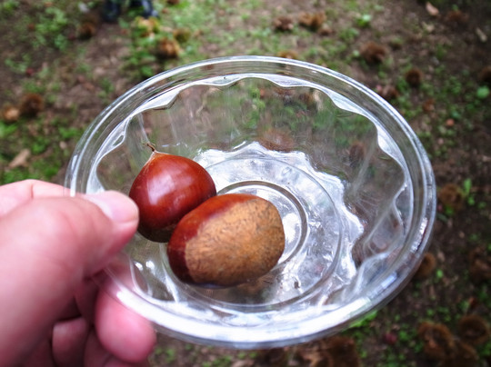 Kobayashi Farm-小布施町必去景点