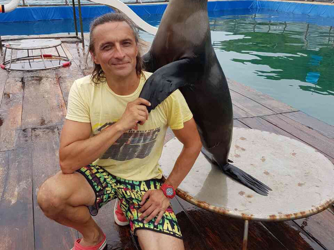 Seals Show-芽庄必去景点