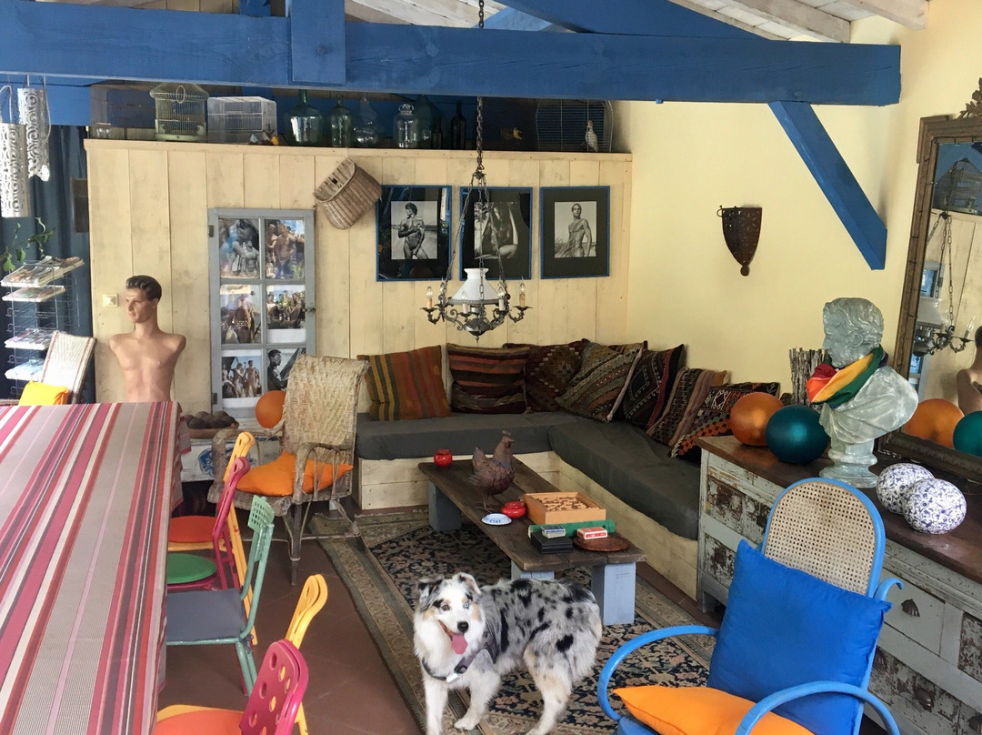 Le Moulin de Lassalle主图